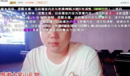 刘小七爆料钱小佳视频,钱小佳视频背后的惊人真相